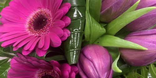 20220404_123159256_iOS-scaled