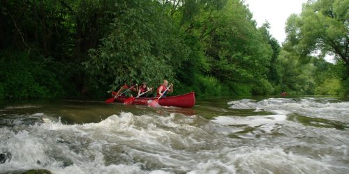 217495243_4278208705570268_8057071773054519874_n