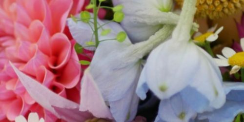 xr:d:DAFBm9bqfy0:601,j:1650992349074378065,t:24032811