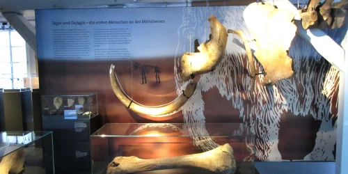 Museum Nienburg 3