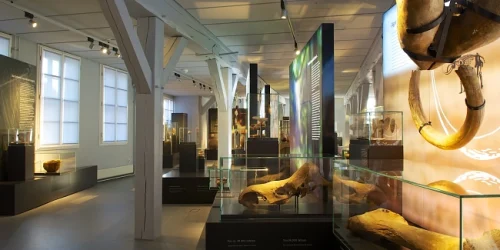 Museum Nienburg 5