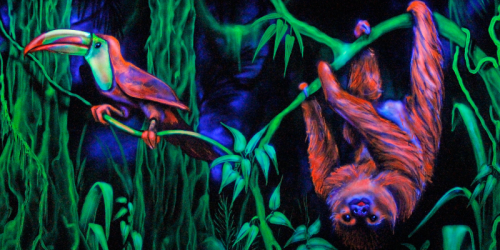 Partnerseite-Wordpress-schulen-20