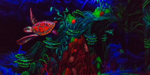 Partnerseite-Wordpress-schulen-21