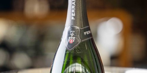 Posh Bar 11.12.25_WEB-26